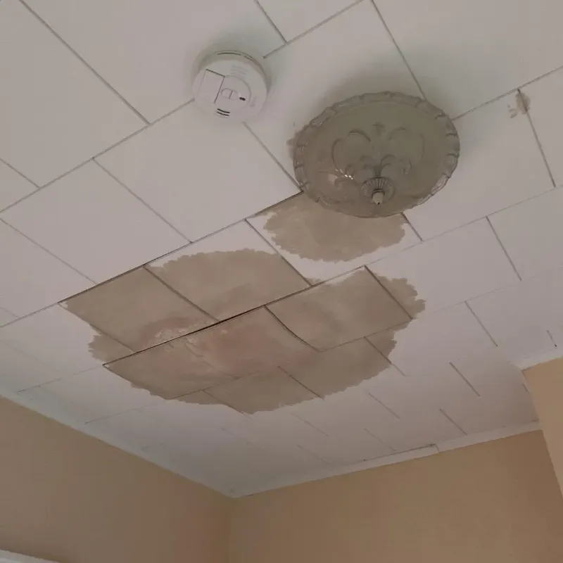 Ceiling Water Damage Repair in Emmet County, IA