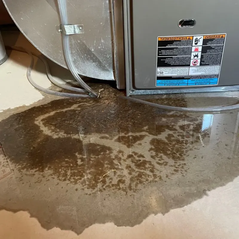 Pipe Burst and Leak Restoration in Emmet County, IA